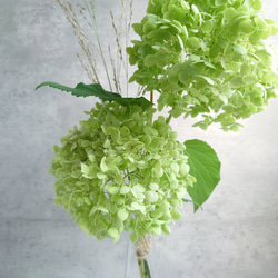 Greenアナベルmini＆パニカムSimple bouquet【bouquet】受注製作 5枚目の画像