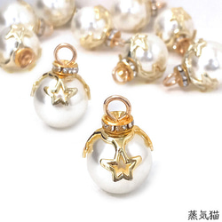 銀貨】庭猫 フィジー 2022年 1オンス シルバーコイン カラー版