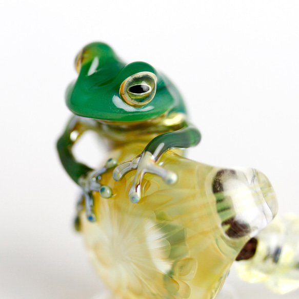 Frog（カエル）ファナネックレス488 1枚目の画像
