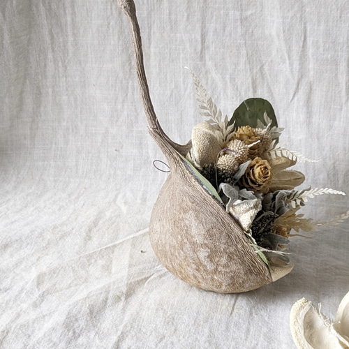 ブッダナッツ＊* ホワイトナッツ ドライフラワー Chêne 通販 16529974