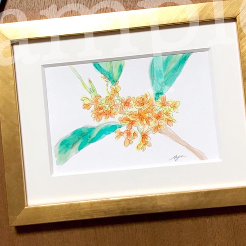 ✳︎送料無料 ✳︎原画 ✳︎はがき/金木犀 イラスト アトリエあや 通販
