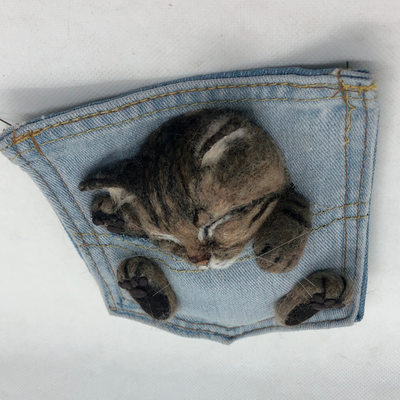 ポケにゃん(=^x^=)  羊毛フェルト　愛猫さんと一緒にお出かけ　うちの子オーダーメイド　オーダー 5枚目の画像