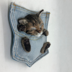 ポケにゃん(=^x^=)  羊毛フェルト　愛猫さんと一緒にお出かけ　うちの子オーダーメイド　オーダー 4枚目の画像