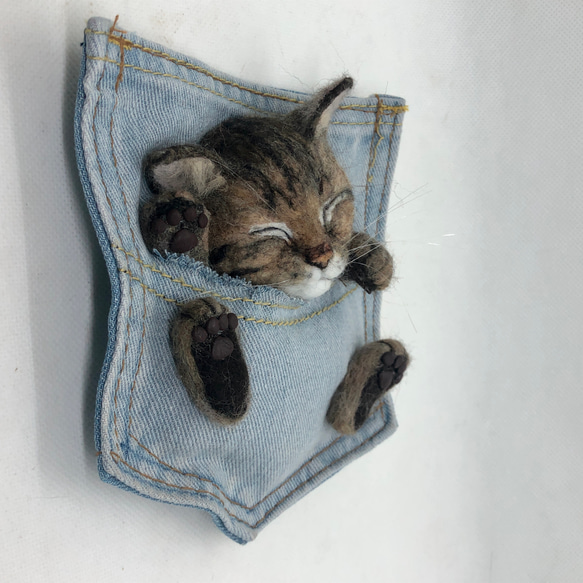 ポケにゃん(=^x^=)  羊毛フェルト　愛猫さんと一緒にお出かけ　うちの子オーダーメイド　オーダー 4枚目の画像