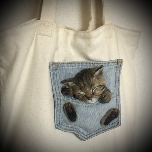 ポケにゃん(=^x^=) 羊毛フェルト 愛猫さんと一緒にお出かけ うちの子