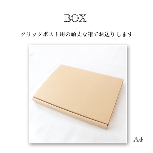 Happy Half Birthday * standard タイプ * ブロンズ 虫ピン付き