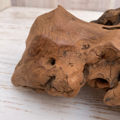 流木インテリア オブジェ 1070100015 その他インテリア雑貨 Umibe no