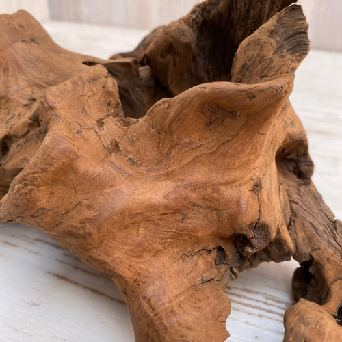 流木インテリア オブジェ 1070100015 その他インテリア雑貨 Umibe no