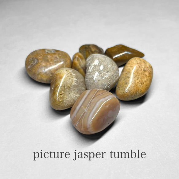 picture jasper tumble / ピクチャージャスパータンブル 1 1枚目の画像