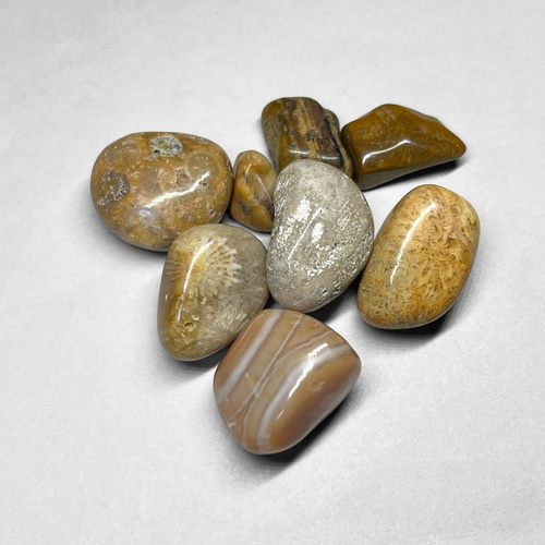 picture jasper tumble / ピクチャージャスパータンブル 1