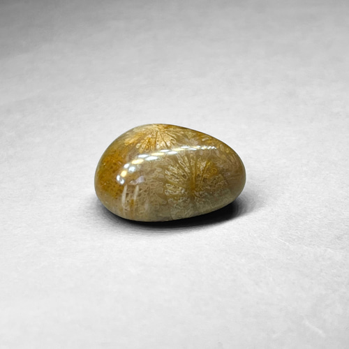 picture jasper tumble / ピクチャージャスパータンブル 1