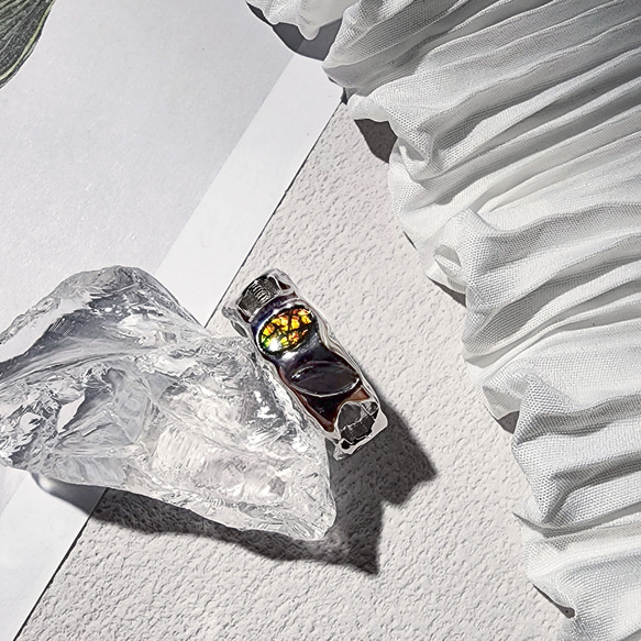 ロイヤル・カナディアン・ミント 10オンス 銀バー 約311g シルバー 2枚 ロイヤル・カナディアン・ミント 10オンス 銀バー 約311g