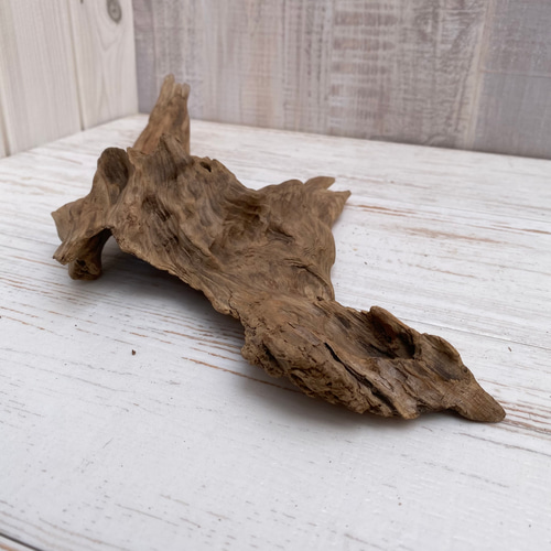 流木 インテリア約 170cm 木製台座付 driftwood interior 流木
