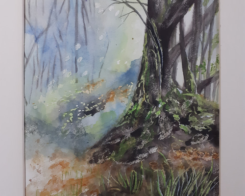 水彩画 神秘で静寂な奥深い森 絵画 makochin 通販 16530980