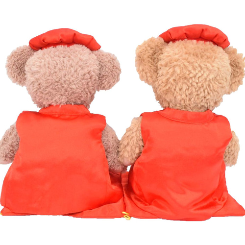 ディズニー ダッフィー シェリーメイ 還暦ギフトぬいぐるみ Disney