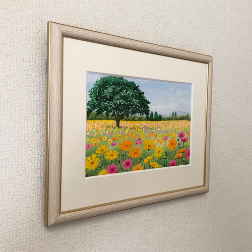黄花コスモスのフィールド01」透明水彩画 原画 風景画 額縁付 SM
