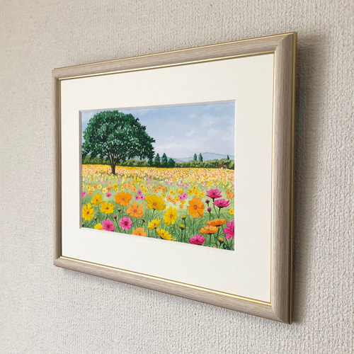 黄花コスモスのフィールド01」透明水彩画 原画 風景画 額縁付 SM