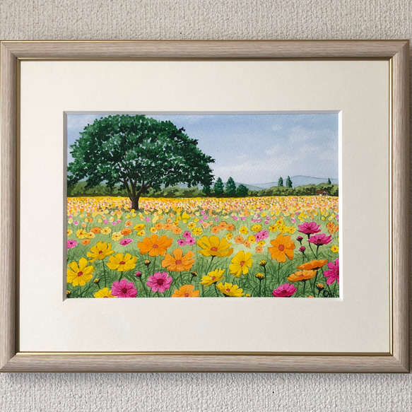 黄花コスモスのフィールド01」透明水彩画 原画 風景画 額縁付 SM