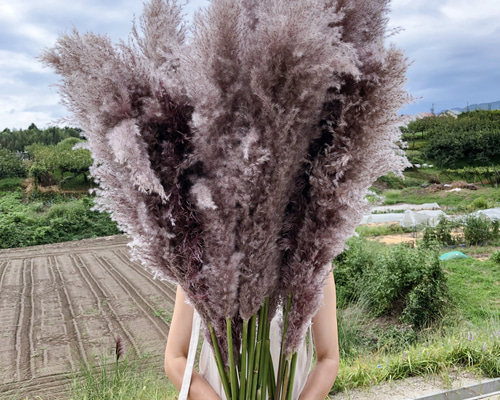 4ba689c1266e1cc6c8df73ecf3dac7