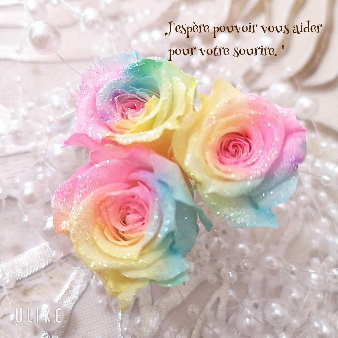 パステル レインボー ローズ プリザーブドフラワー ハーバリウム