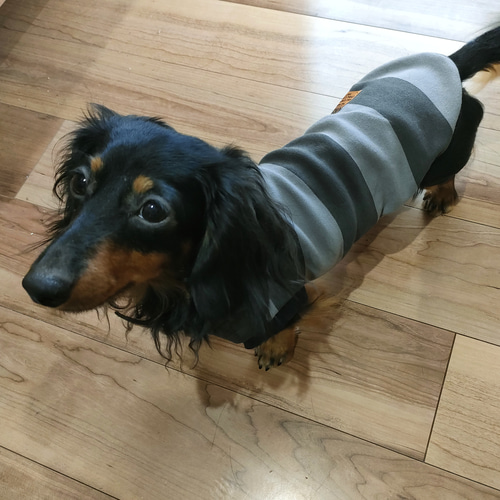 犬服⭐︎ハンドメイド♡ボーダーワンピース 犬服⭐︎ハンドメイド♡ボーダーワンピース