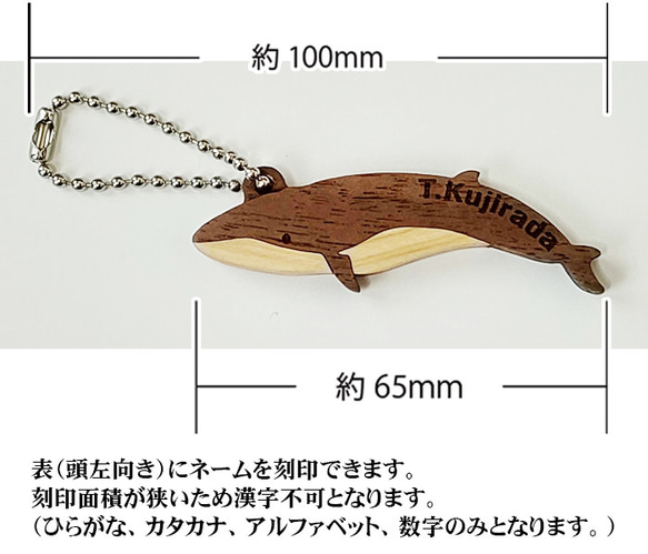 イルカ クジラ 木製キーホルダー 人気・おすすめ｜安定人気・収納便利におすすめ 丁寧対応 配送追跡可 最短翌日到着可能
