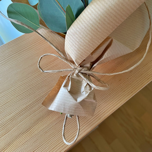 ユーカリ(ポポラス)のシンプルスワッグ ドライフラワー cumin seed  