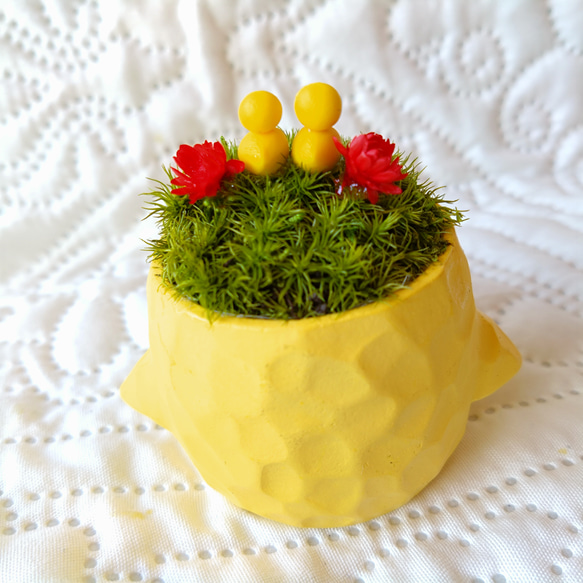 アニマルポット ぴよver' 2枚目の画像