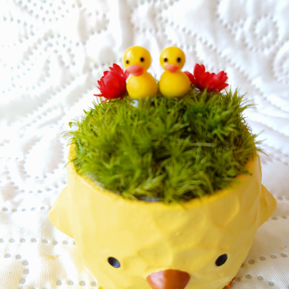 アニマルポット ぴよver' 3枚目の画像