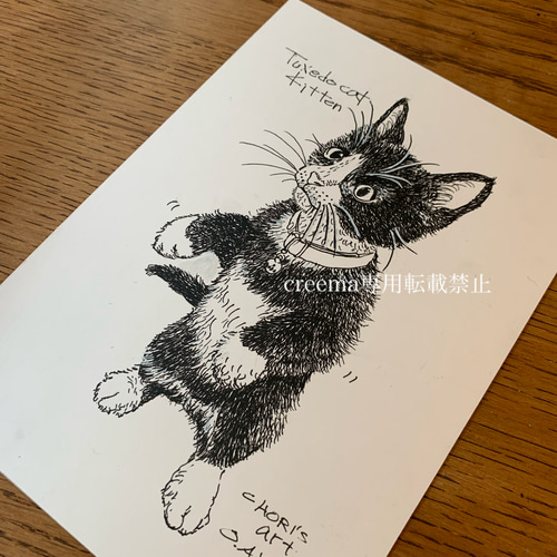 絵/絵画/A5/原画/手書き/ペン画/猫/ハチワレ/仔猫/イラスト 絵画 大橋