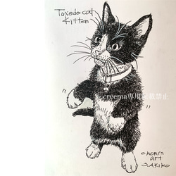 絵/絵画/A5/原画/手書き/ペン画/猫/ハチワレ/仔猫/イラスト 絵画