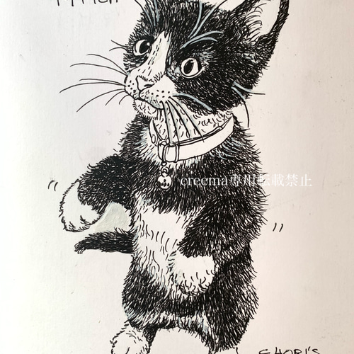 絵/絵画/A5/原画/手書き/ペン画/猫/ハチワレ/仔猫/イラスト 絵画 大橋