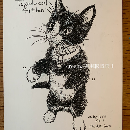 絵/絵画/A5/原画/手書き/ペン画/猫/ハチワレ/仔猫/イラスト 絵画 大橋
