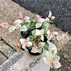 花瓶 フラワーベース DutZ コレクション 45668 一輪挿し・花瓶