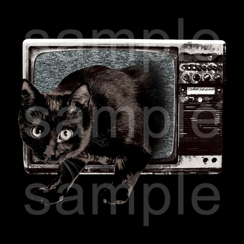 アニマルホラー黒Tシャツ「黒猫テレビ」 Tシャツ ｢MessagE｣ 通販