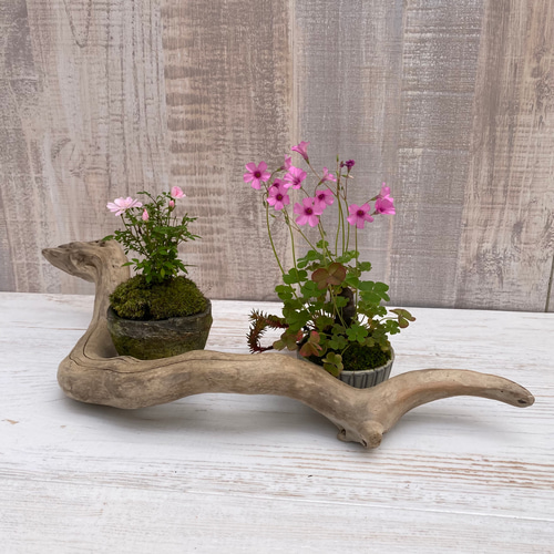 NO2 お買い得品　3点セット　早い者勝ち　流木ハンガー　インテリア　ガーランド NO2 お買い得品 3点セット 早い者勝ち 流木ハンガー インテリア