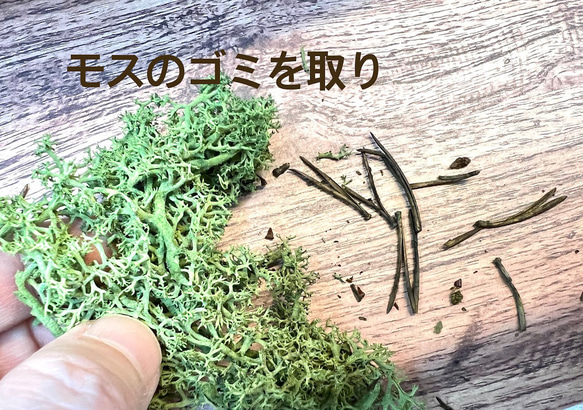  第6張的照片