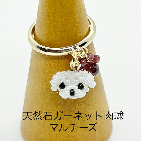 トイプードル　　マルチーズ　ピアス　ブレスレット　リング トイプードル マルチーズ ピアス ブレスレット リング