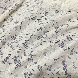 波浪邊蕾絲布料 Lace Fabric（每50cm/單位） 第1張的照片