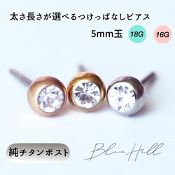 つけっぱなし ジュエル セカンドピアス 5mm 純チタン 太軸 【2-1大】金属アレルギー BlueHill 1枚目の画像