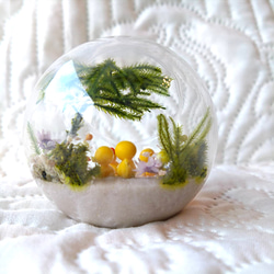 ガラスドームの小さな海『夕焼けの海』 3枚目の画像