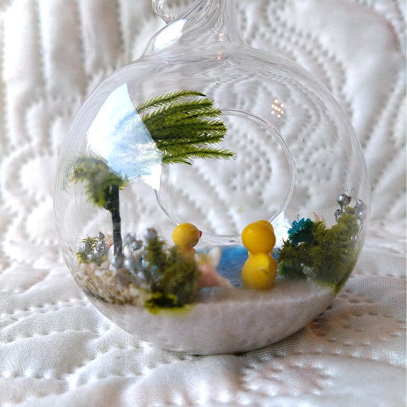 ガラスドームの小さな海 3枚目の画像