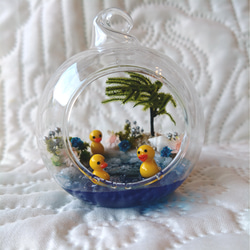 ガラスドームの小さな海 1枚目の画像