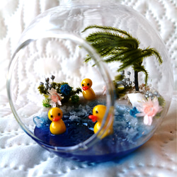 ガラスドームの小さな海 5枚目の画像