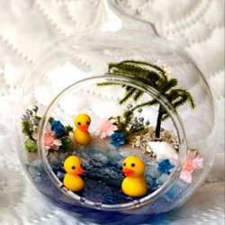 ガラスドームの小さな海 2枚目の画像