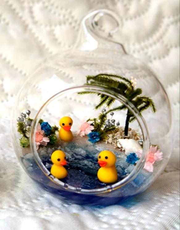 ガラスドームの小さな海 2枚目の画像