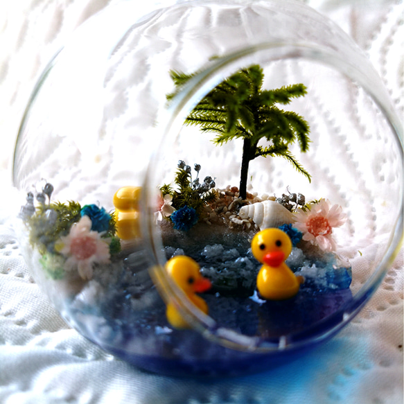 ガラスドームの小さな海 4枚目の画像