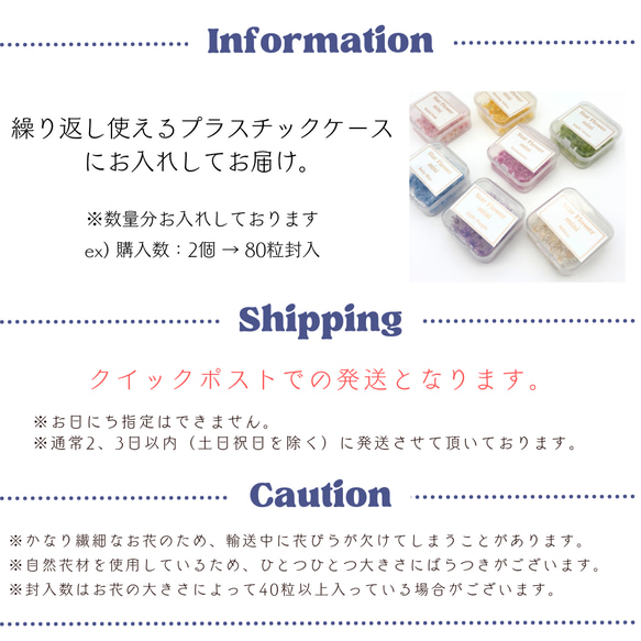 【 スターフラワーミニ 小分け 40枚 】 ドライフラワー 少量 ヘッドのみ 花材 レジン 材料 素材 花素材 5枚目の画像
