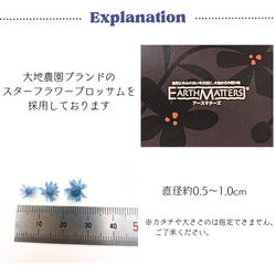 【 スターフラワーミニ 小分け 40枚 】 ドライフラワー 少量 ヘッドのみ 花材 レジン 材料 素材 花素材 2枚目の画像