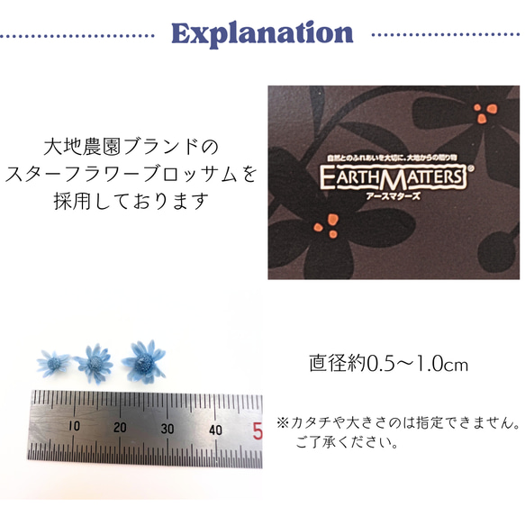 【 スターフラワーミニ 小分け 40枚 】 ドライフラワー 少量 ヘッドのみ 花材 レジン 材料 素材 花素材 2枚目の画像